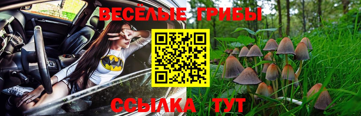 Миасс  Псилоцибиновые грибы Magic Shrooms  Вход с VPN 