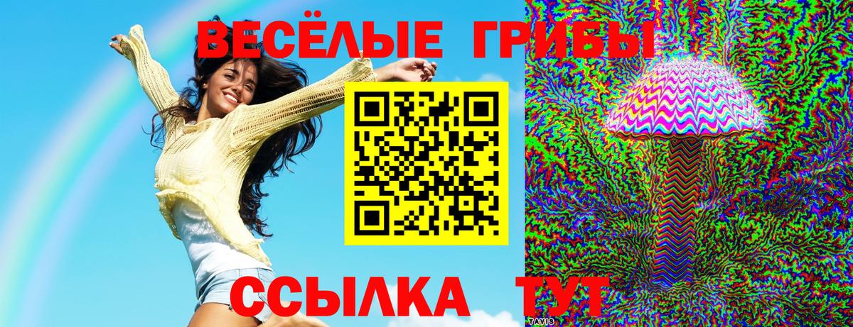 Псилоцибиновые грибы Psilocybe Миасс